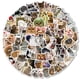 thumbnail image 2 of Paquete de pegatinas Funny Cat Meme Face Expression, 100 unidades, 2 of 2