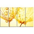 thumbnail image 2 of Dandelion Seeds with Water Drops - Floral Canvas Art Print, 2 of 3