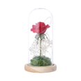 thumbnail image 1 of Artificial Rose Fake Flower LED Light Home Decor In Glass Dome for Birthday  Thanksgiving Day  Valentine‘s Day  and Mother‘s Day, 1 of 9