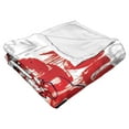 thumbnail image 4 of The Northwest 1BAT-23600-0035-OOF 50 x 60 in. Warner Bros. Batman Craziest Things for Love Silk Touch Throw Blanket, 4 of 5