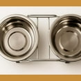 thumbnail image 4 of KITCHEN DIVA 2 Piece Pet Food Dish Set  Designed for Cats & Small Breed Dogs  Elevated Stand with Detachable 5 3/8" Bowls  Stainless Steel  Easy Clean, Dishwasher Safe, 4 of 6
