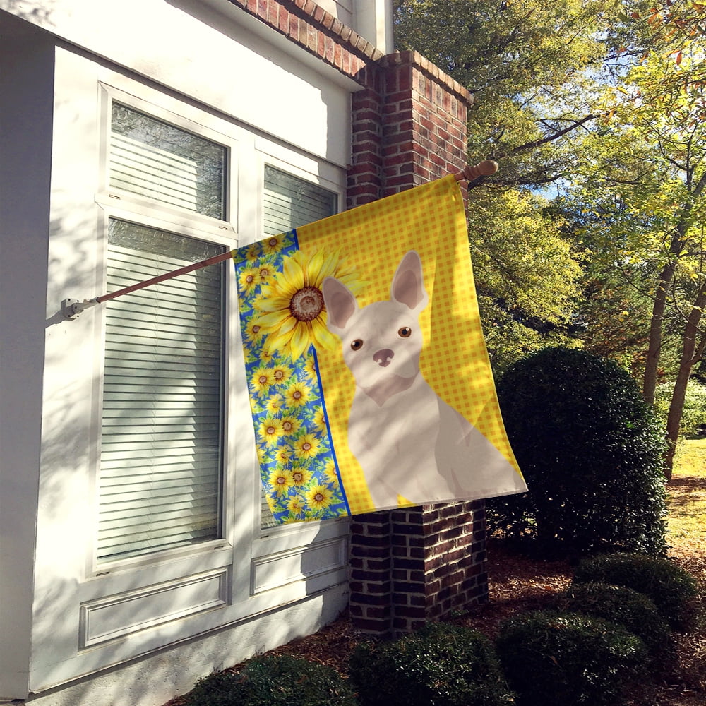Summer Sunflowers White Boston Terrier Flag Canvas House Size