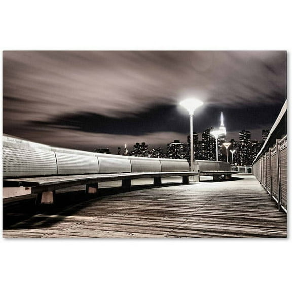 Trademark Fine Art "NYC" Canvas Art by David Ayash