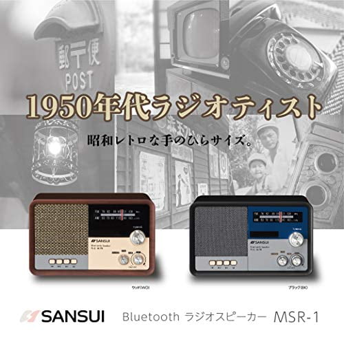 Sansui Bluetooth speaker With AM / FM radio black - Walmart.ca