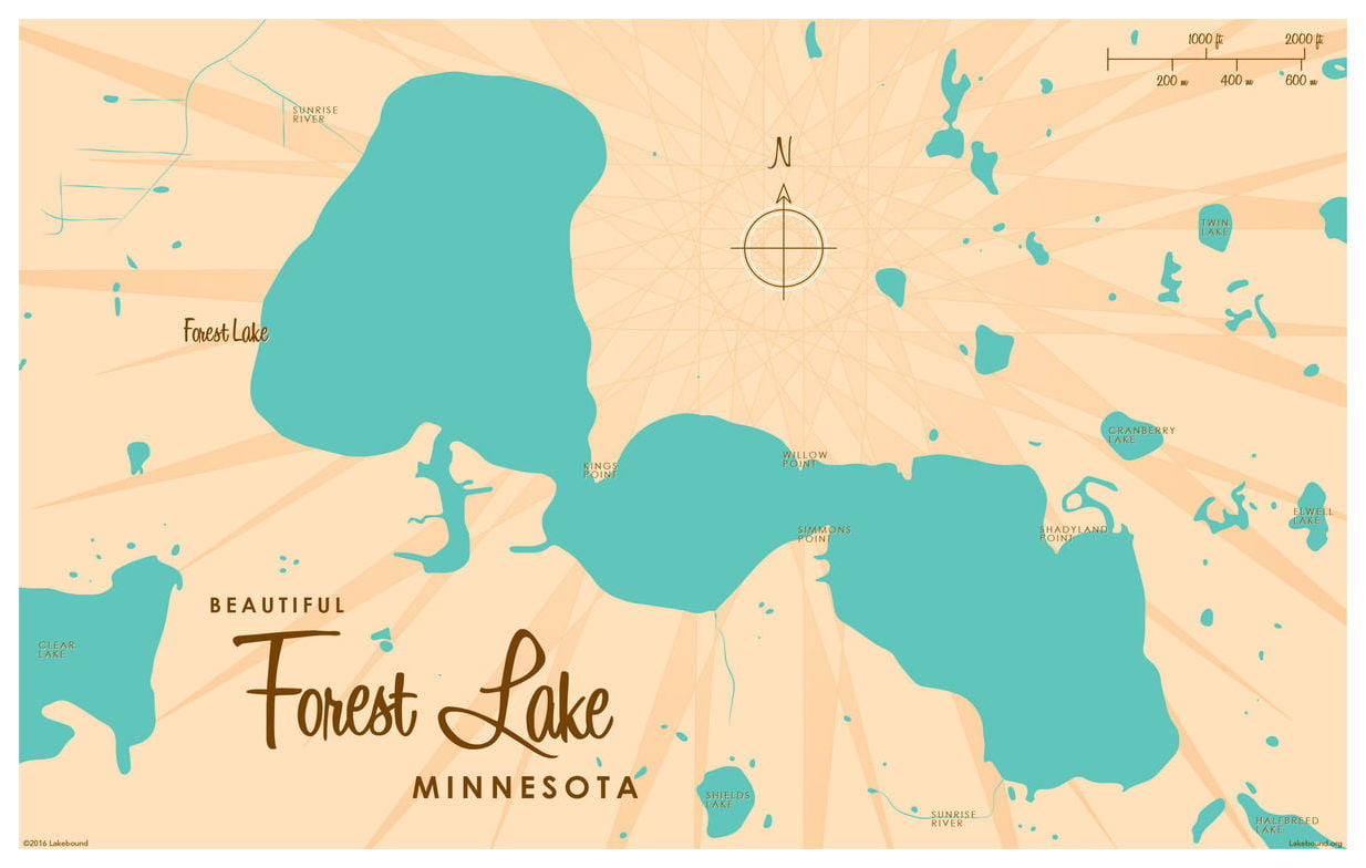 Forest lake mn zip code