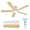 Suspension rod white, variant on CazToi 52-Inch Modern Ceiling Fan with Dimmable LED Light and Remote, 5-Blade, 6-Speed, Downrod Mount,