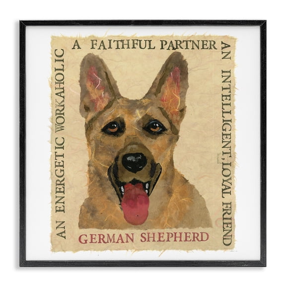 Stupell Industries Farmhouse Fun German Shepherd Phrases Black Framed Giclee Art, 12 x 12, by Nancy Overton