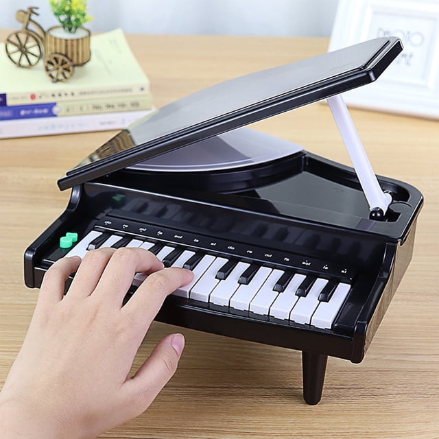 Musical Electronic Keyboard, Small Music Box, Led Light up Keys, Early Learning Toy, for Toddlers, Gift for Age 312, Xylophone Style, Educational Toy, Ornament, Home Decor, Ihhxbz | Black