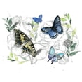 thumbnail image 3 of Parker, Jennifer Paxton 18x15 Black Modern Framed Museum Art Print Titled - Watercolor Butterfly Collection A, 3 of 5