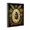 thumbnail image 4 of Stupell Industries Vintage Beetle & Botanicals Animals & Insects Painting Gray Floater Framed Canvas Art Print Wall Art, 17 x 21, 4 of 10
