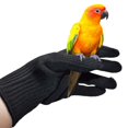 thumbnail image 2 of QBLEEV Bird Training Anti-Bite Gloves, Parrot Chewing Working Protective Gloves, 2 of 2