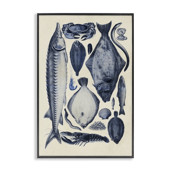 Stupell Industries Traditional Scientific Marine Life Chart Black Framed Giclee Art, 12 x 18, by Alicia Longley