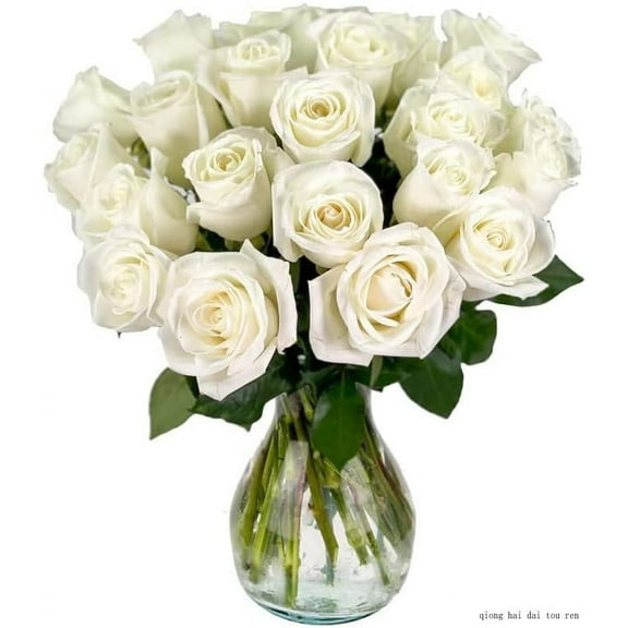 25 White Roses by Arabella Bouquets Fresh Flower Bouquet with Vase