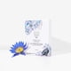 thumbnail image 4 of Mascarilla facial Snow Fox Skincare Hot Stone Oil Control, paquete de 5, 4 of 6