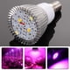 thumbnail image 1 of Bombilla Full Spectrum 28W E14 LED Grow Light AC85-265V LED Growing Lamp Plant Light Lamparas, 1 of 9