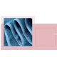 thumbnail image 3 of El juego de toallas de baño de 3 piezas es absorbente y suave., 3 of 4