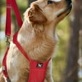 thumbnail image 4 of Practical Dog Slings All Breeds Dog Leg Support Lifting Aid for Injury Joint Elderly Dogs Disabled Dog Supply, 4 of 9