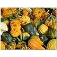 thumbnail image 1 of Fruit Food Ceramic Tile Mural Kitchen Backsplash Bathroom Shower 400663-S43, 1 of 3