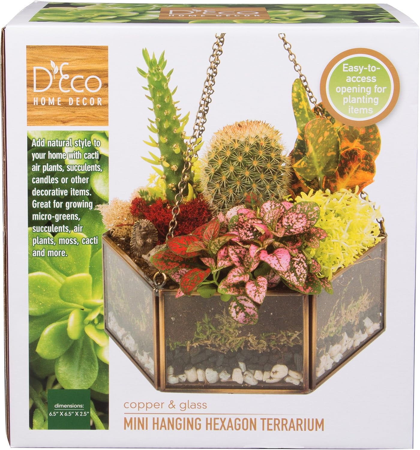 D'Eco Glass Geometric DIY Terrarium, Succulent & Air Plant- Hanging Mini Hexagon Shaped for Indoor Gardening Decor- Create Your own Flower, Fern, Moss Centerpiece