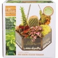 thumbnail image 4 of D'Eco Glass Geometric DIY Terrarium, Succulent & Air Plant- Hanging Mini Hexagon Shaped for Indoor Gardening Decor- Create Your own Flower, Fern, Moss Centerpiece, 4 of 6