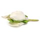 thumbnail image 5 of Rose Boutonniere Novio Nupcial Ramilletes Broche Clip Pin Boda Decoración Blanco Zulema Novio Boutonniere, 5 of 8