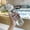 1pc white, variant on 1pc BPA-Free Plastic Water Bottle, Leak-Proof & Fall-Proof, Transparent Large Capacity, Portable for Outdoor Use, Round Shape