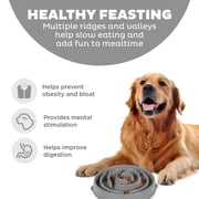 Outward Hound Fun Feeder Non-Slip Large Plastic Slow Feeder Bowl for Dogs, Gray, Drop Pattern