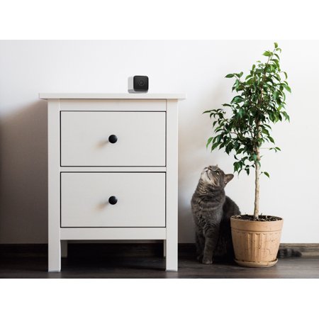 Kangaroo Indoor + Outdoor Camera with 2 Way Audio, On-Demand Livestream & Night Vision