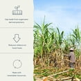 thumbnail image 6 of GLAS Natural Spring Water (12 Pack) 16.9 oz / 500ml | Boxed Water from the Blue Ridge Mountains | Paper-Based Bottle with Plant-Based Cap | BPA-Free, Recyclable | Bottled Spring Water Alternative, 6 of 8
