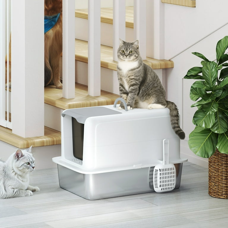 Cat Litter Box for Large Cats: Ultimate Comfort Solutions