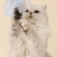 thumbnail image 4 of <p>Cat Teaser Wand, 3Pcs Fun Playing Long PVC Feather Cat Teasing Wand Toy With Bell For Kitten</p>, 4 of 7