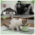 thumbnail image 2 of shuaien 2-Pack Silicone Slow Feeder Cat Bowls with Mat Elevated Tilted Anti-Vomit Adjustable Angle White & Green, 2 of 8