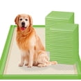 thumbnail image 1 of Almohadillas para orinar para mascotas Gardner, extra grandes, 70 x 85 cm, para perros, 30 unidades, 1 of 8