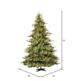 thumbnail image 3 of Vickerman 10' Mixed Country Pine Artificial Christmas Tree, Clear Dura-Lit® Mini Lights, 3 of 6