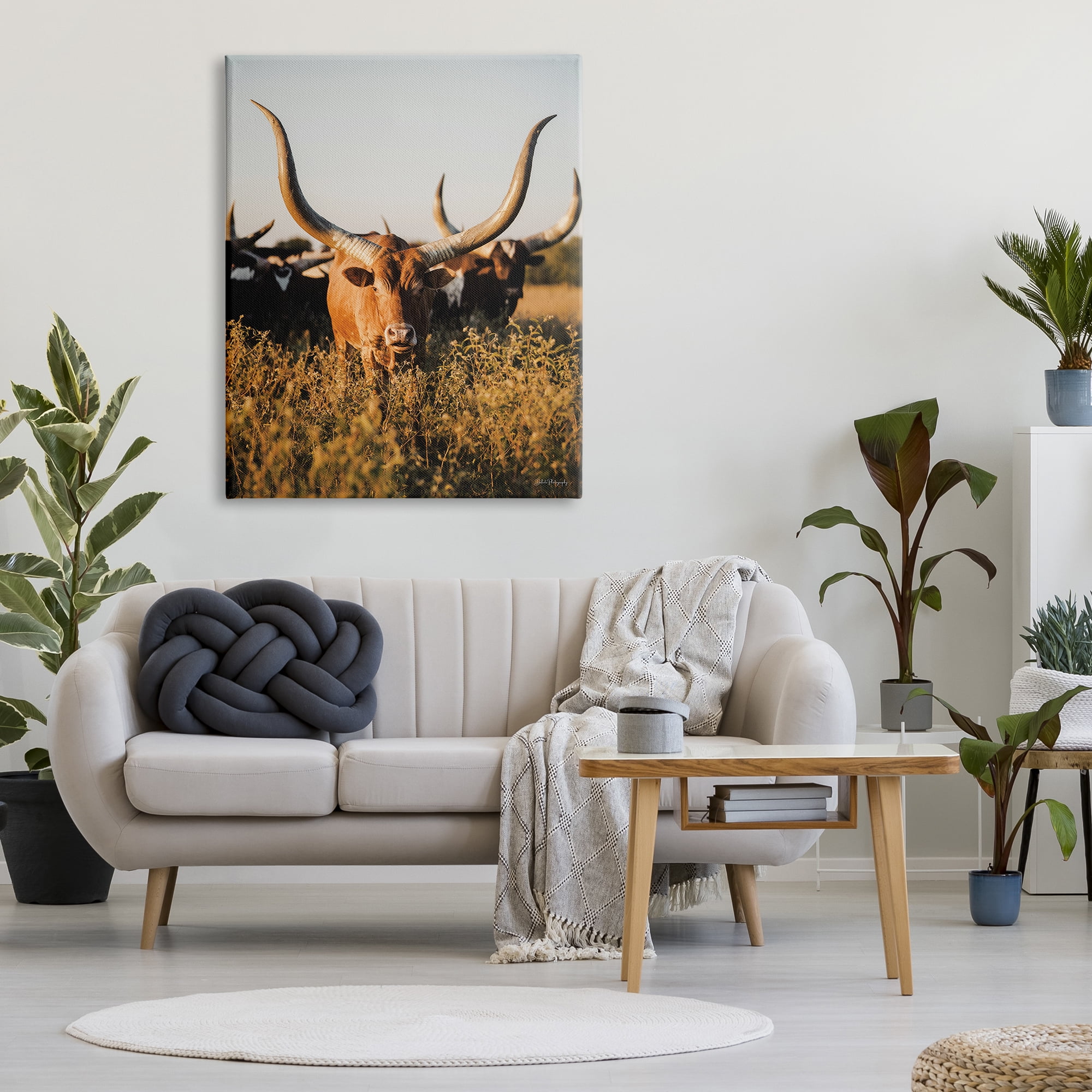 Stupell Industries Longhorn Herd Photography Animals & Insects Photography Gallery Wrapped Canvas Art Print Wall Art, 36 x 48