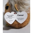 thumbnail image 5 of TY Puffies (Beanie Balls) Plush - CAESAR the Lion (3 inch), 5 of 6