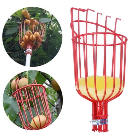 Fruit Catcher Durable Harvesting Equipment Attachment Head Metal Fruit Picker for Bringing Fruit Home
