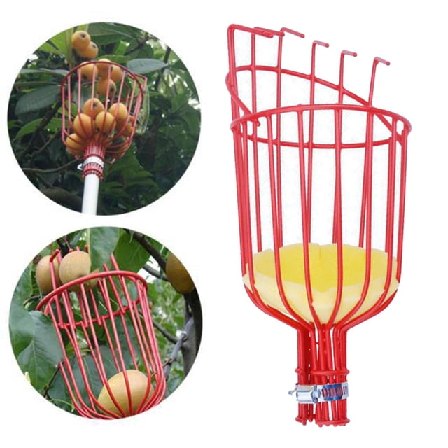 Colector de frutas Cola multiusos dispositivo resistente recolector de frutas de Metal