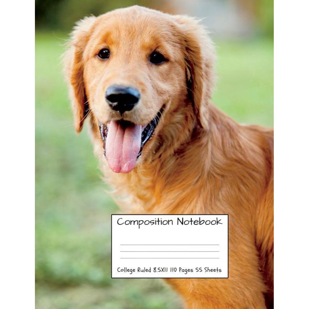 Cute Notebooks for School Girls and Boys Composition Notebook College