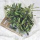 thumbnail image 2 of Rama de Olivo Verde de Simulación Tallos de Rama de Olivo Artificiales Decoración de Mesa para el Hogar Oficina Fiesta de Boda ANGGREK Otros, 2 of 8