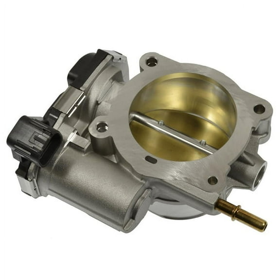 Fuel Injection Throttle Body