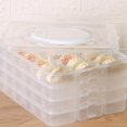 Torage Box MultiLevel QuickFrozen Dumpling Box Transparent