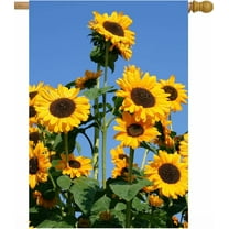 Tropical Floral Sunflowers Flowers Blue Sky Spring Summer Plants Field House Flag 28 x 40 Inch, Double Sided Large Garden Yard Welcome Flags Banners for Home Lawn Patio Outdoor Decor