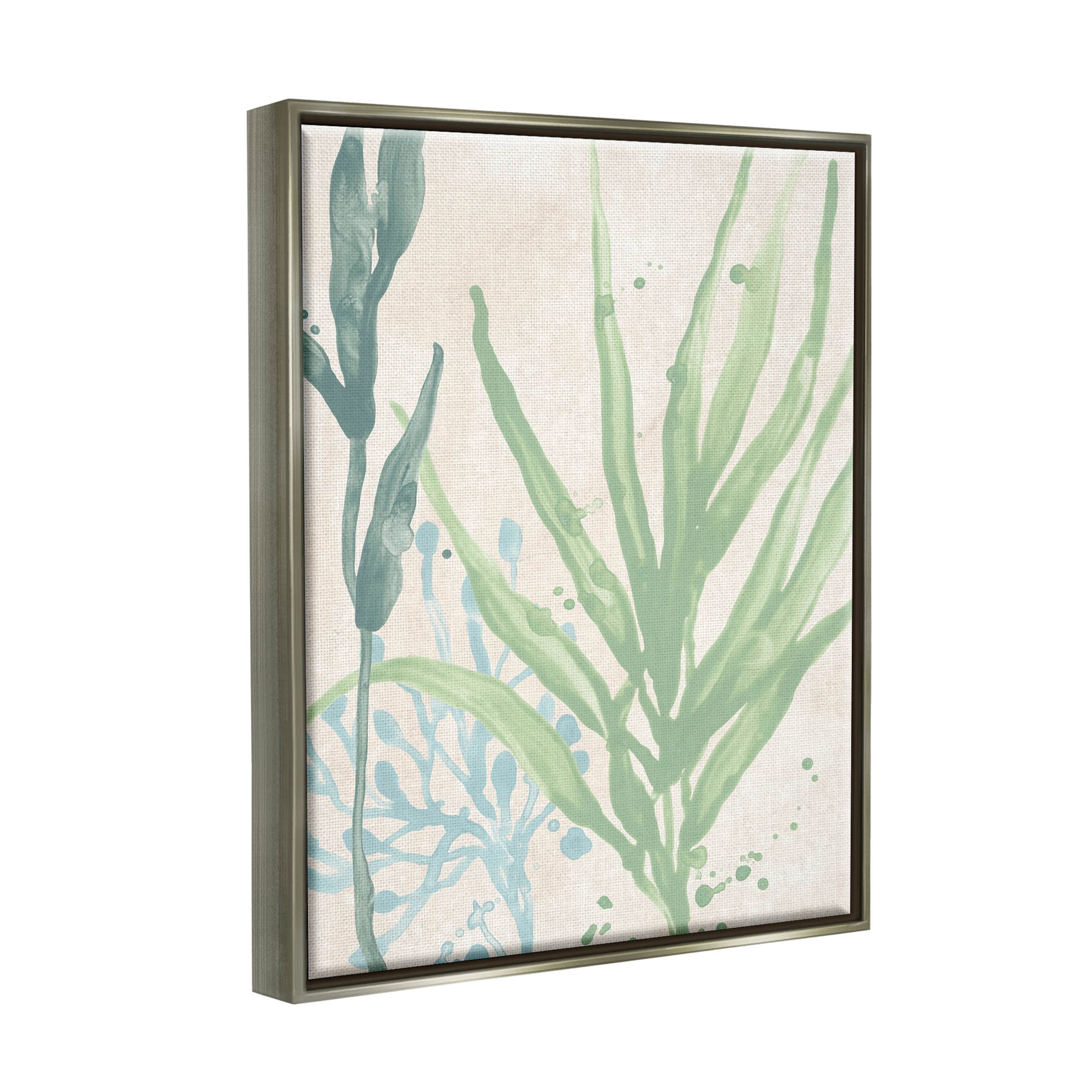 Stupell Industries Aquatic Seaweed Botanicals Graphic Art Luster Gray Floating Framed Canvas Print Wall Art, Design by June Erica Vess