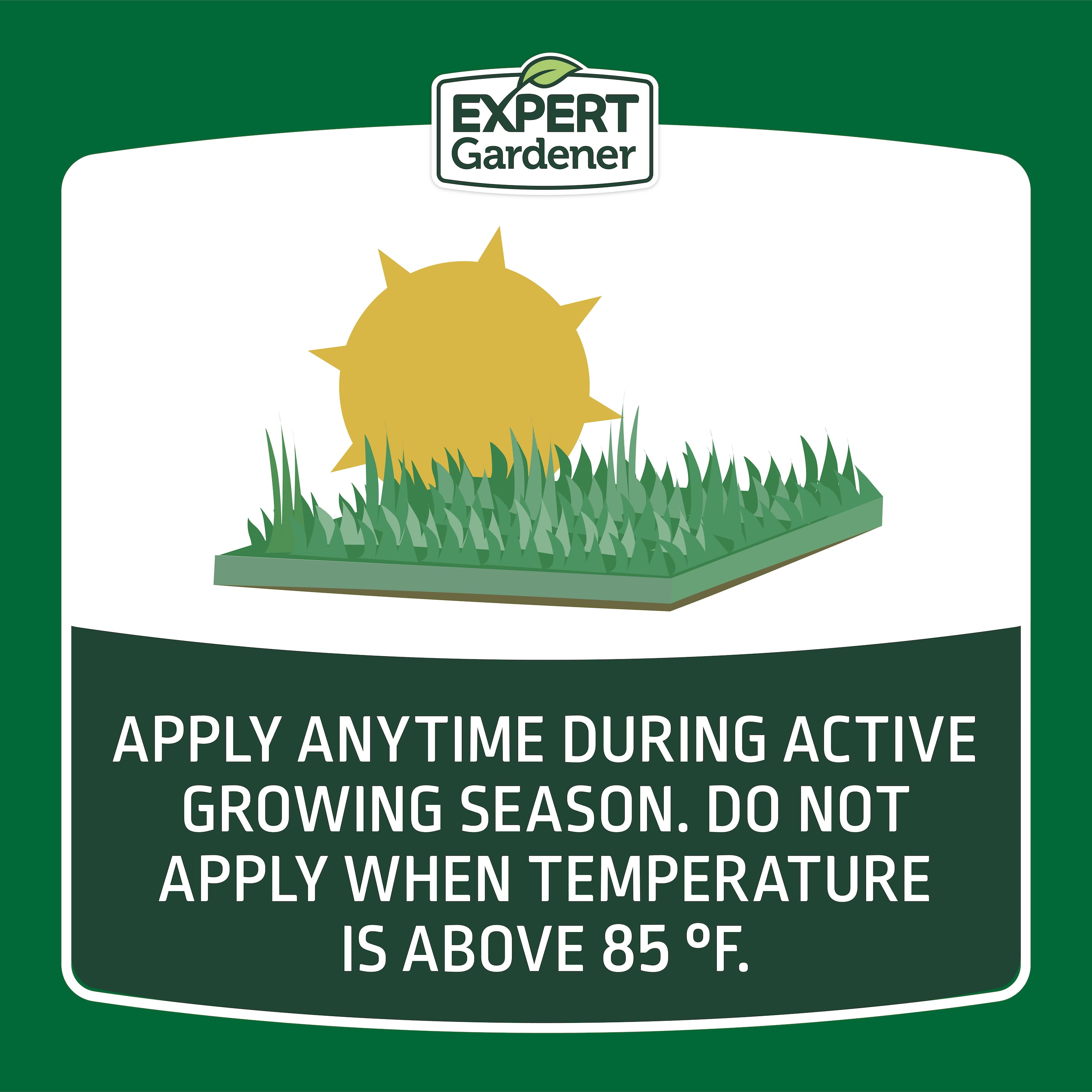 Expert Gardener Ready to Spray Lawn Food, 22-0-3 Fertilizer, 32 oz. Liquid