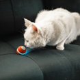 thumbnail image 3 of Bola de gato automática juguetes parpadeantes USB Bola recargable de captura rojo Gloria juguetes interactivos para gatos, 3 of 8