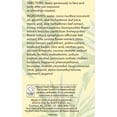 Burt's Bees Aloe & Coconut Oil AfterSun Soother, 6 Oz