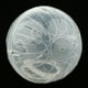 thumbnail image 3 of Pelota De Hámster, Juguete De , Pelota De Ejercicios Para Mini Pelotas De Animales , Para Mascotas, 4 blanco Sunnimix Bola de cristal de hámster para correr, 3 of 8
