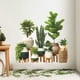 thumbnail image 5 of Decoración del hogar, decoración de habitaciones, decoración de paredes, plantas verdes y amigables, dormitorio, sala de estar, decoración de fondo del hogar, pegatinas de pared, calcomanía de papel a, 5 of 6