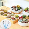 thumbnail image 3 of Mini herramientas de jardinería Juego de 6 mini herramientas de jardinería Mini rastrillos, paletas y palas para maceteros de bonsái y suculentas ER, 3 of 4